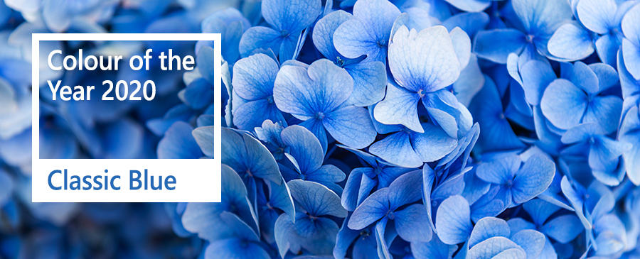 2020 Color of the Year: Classic Blue — Belli Fiori