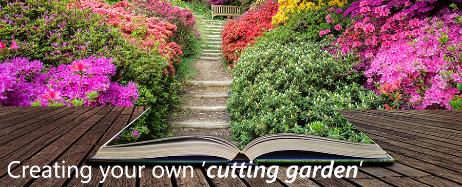 Create your own florists cutting garden