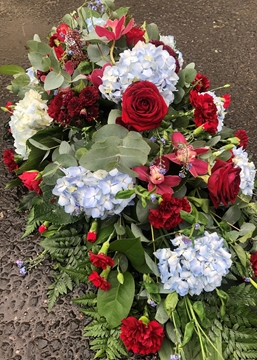 Picture of Claret and Blue Casket Spray