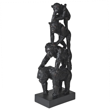 Picture of Evolution of Primates