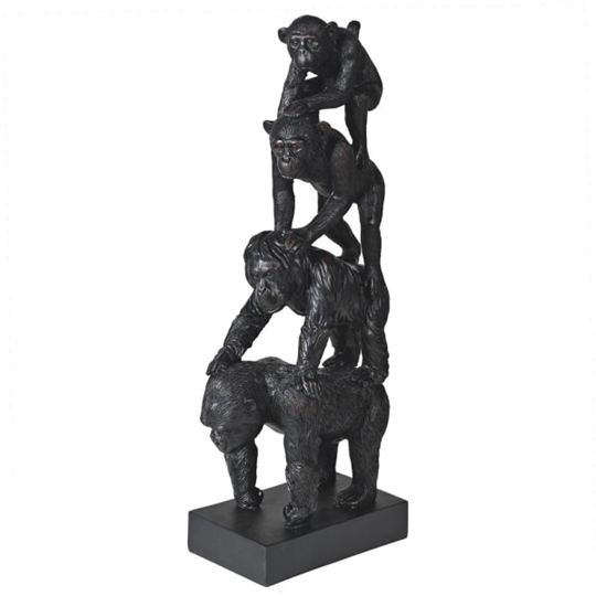 Picture of Evolution of Primates