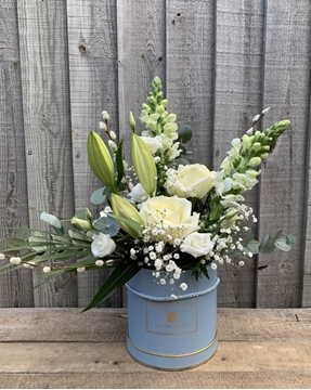 Picture of Chloe Hatbox 