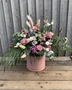 Picture of Elsa Hatbox 