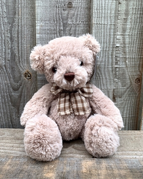 Picture of James Junior Bear