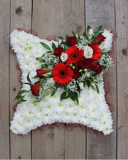 Picture of Cushion with Red Spray £120