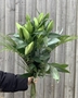 Picture of White Lily and Foliages Bouquet