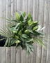 Picture of White Lily and Foliages Bouquet large