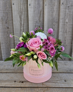 Picture of Tammy Hatbox 