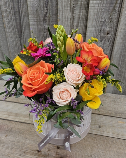 Picture of Alexandra Hatbox 55