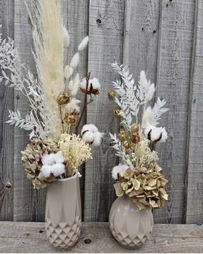 Picture of Duo Vase - Dried Flowers 