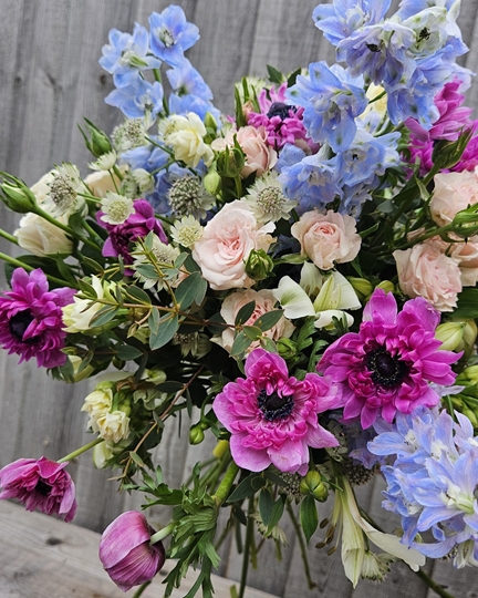 Picture of Sunday 22nd March 2pm-5pm