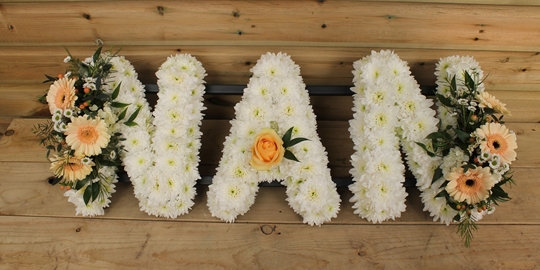 Picture of Nan Tribute - peach sprays