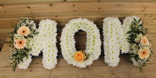 Picture of Mom Tribute - ivory & peach