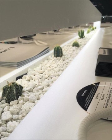 Cactus Garden For Lumix Stand At Photography Show NEC