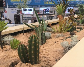 Cactus Garden For Lumix Stand At Photography Show NEC