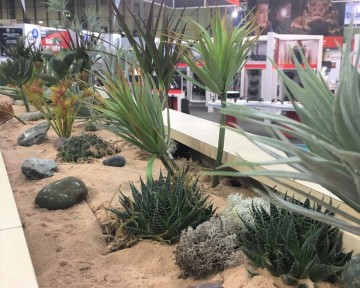 Cactus Garden For Lumix Stand At Photography Show NEC