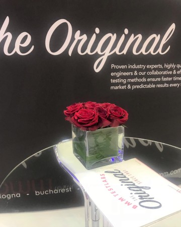 Red Rose Cube Vase Display For ICE Totally Gaming 