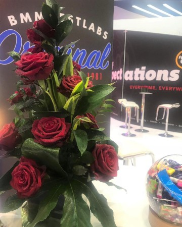 Red Rose Cube Vase Display For ICE Totally Gaming 
