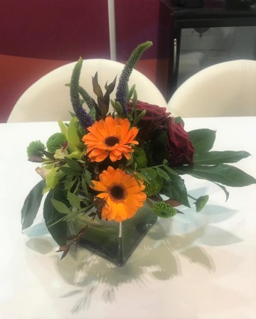 Low Cube Vase Display For ICE Totally Gaming Excel