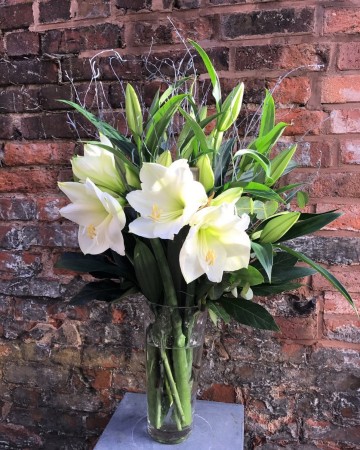 Amaryllis &Lily Vase Display 