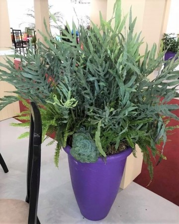 Planter For Furniture Show Nation Exhibition Centre  NEC Birmingham 