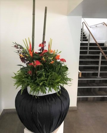 Tropical Planter For Furniture Show Nation Exhibition Centre  NEC Birmingham 