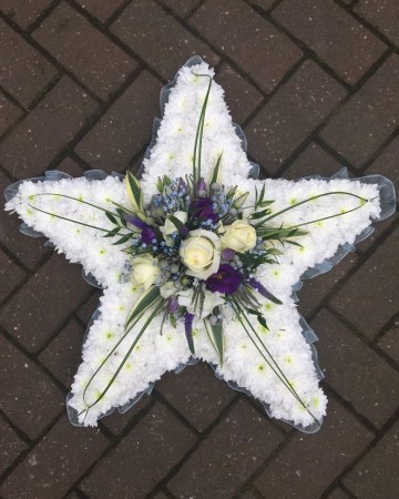 Ivory And Blue Star Design 