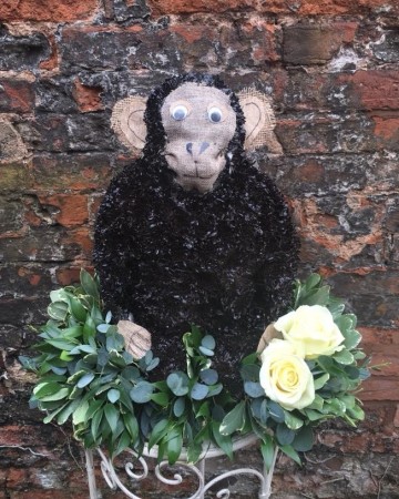 Chimpanzee On Cushion Design 