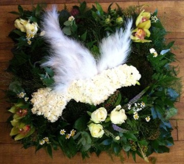 Dove Design 