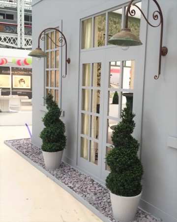Spiral Buxus Planter - Olympia London 