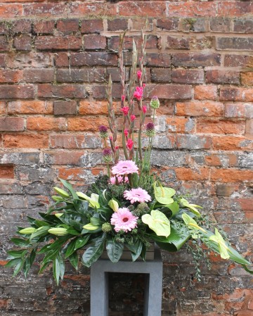 Contemporary Front Facing  Display