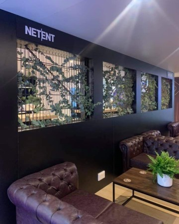Single Boston Fern Plant For Seating Area For ICE London - International Casino and Gaming Exhibition London