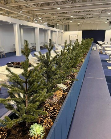 Faux Spruce Trees With Succulent and Cone Border For Spirit Of Christmas Fair Olympia London