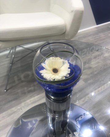 Single Gerbera Globe Vase For ICE Totally Gaming Excel 