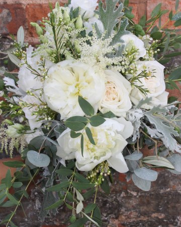 Bridal Bouquet Featuring - White O'Hara Rose - Ivory Peony - Astilbe - Waxflower - Lisianthus - Senecio & Eucalyptus 